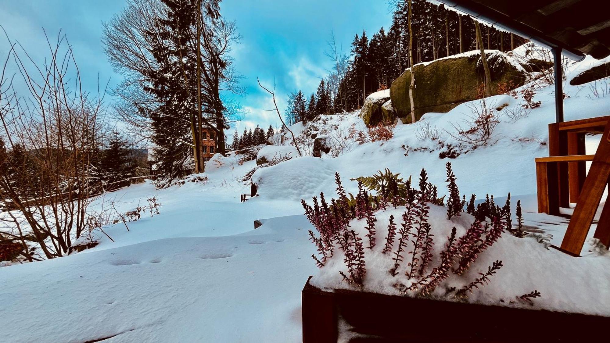 Chata Zulova Stran Janov nad Nisou Dış mekan fotoğraf